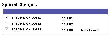 Image of detail-level special charges